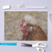 Sulmtaler Hen Tissuepapier (Craft)