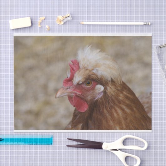 Sulmtaler Hen Tissuepapier (Craft)