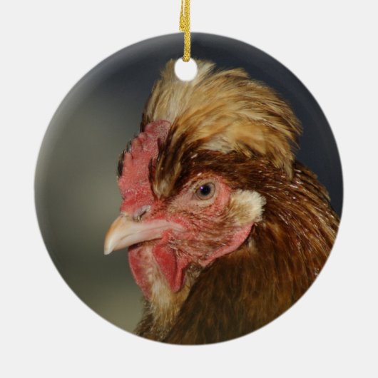 Sulmtaler Keramisch Ornament (Achterkant)