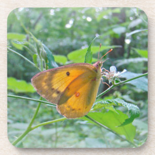 Sulpher Butterfly Bier Onderzetter