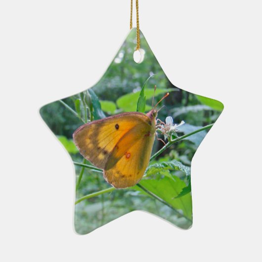 Sulpher Butterfly Keramisch Ornament (Rechts)