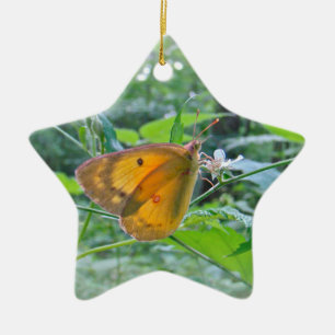 Sulpher Butterfly Keramisch Ornament