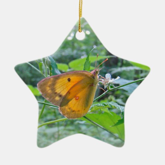 Sulpher Butterfly Keramisch Ornament (Voorkant)