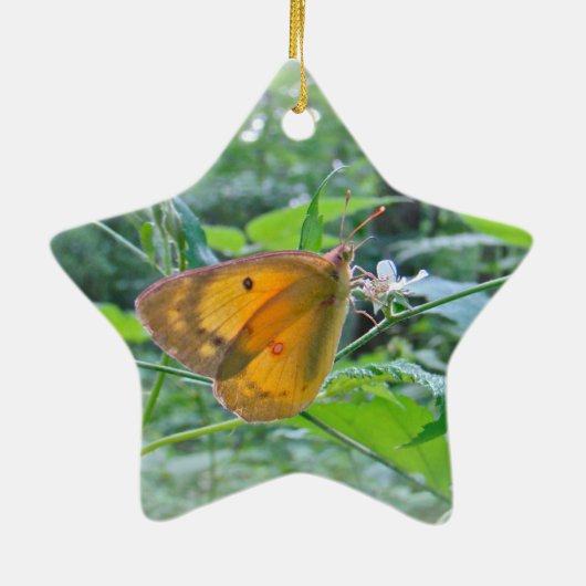 Sulpher Butterfly Keramisch Ornament (Achterkant)
