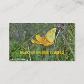 Sulpher Butterfly Visitekaartje (Achterkant)