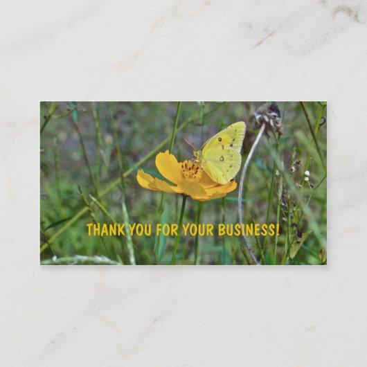 Sulpher Butterfly Visitekaartje (Achterkant)