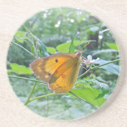 Sulpher Butterfly Zandsteen Onderzetter (Voorkant)