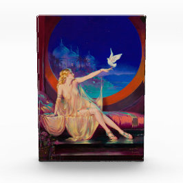 Sultana de Arabische Sultan's Concubine 1925 Fotoblokken