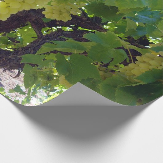 sultaninedruiven op een wijnstok, cadeaupapier (Hoek)