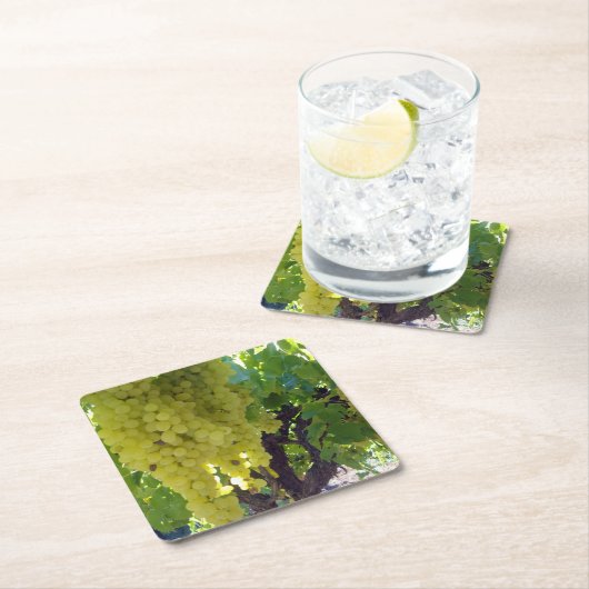 sultaninedruiven op een wijnstok, kartonnen onderzetters (Insitu)