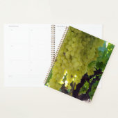 sultaninedruiven op een wijnstok, planner (Display)