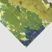 sultaninedruiven op een wijnstok, tissuepapier (Detail)