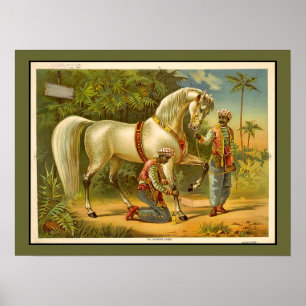 Sultans Steed RARE VINTAGE POSTER Gepersonaliseerd