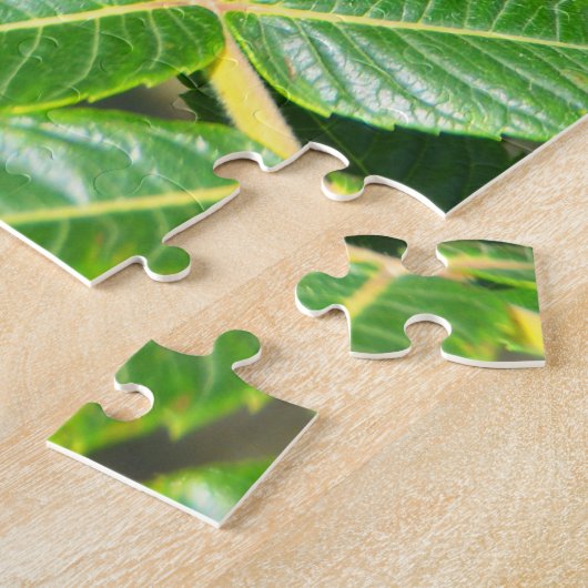 Sumac-boom in Frankrijk Legpuzzel (Zijkant)