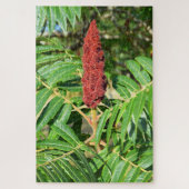 Sumac-boom in Frankrijk Legpuzzel (Verticaal)
