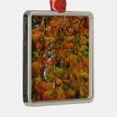 Sumac-boom in herfstkleur in witvis, metalen ornament (Rechts)