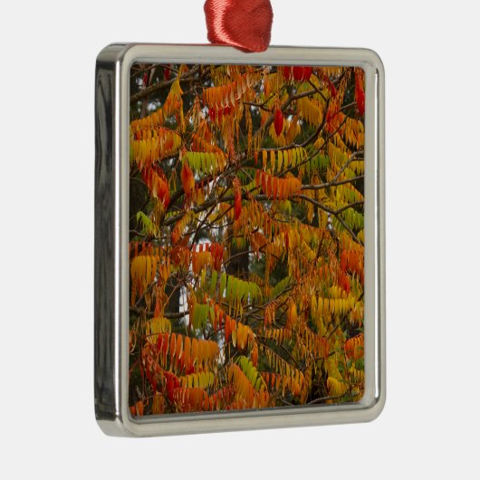 Sumac-boom in herfstkleur in witvis, metalen ornament (Rechts)