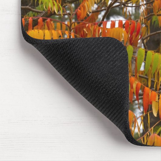 Sumac-boom in herfstkleur in witvis, muismat (Hoek)