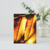 Sumac Leaves Briefkaart (Staand voorkant)