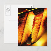 Sumac Leaves Briefkaart (Voorkant / Achterkant)