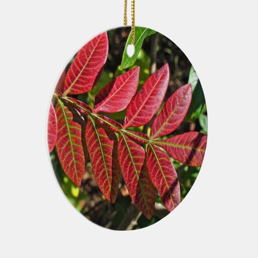 Sumac lekt in het najaar keramisch ornament (Rechts)