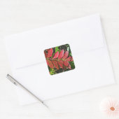 Sumac lekt in het najaar vierkante sticker (Envelop)