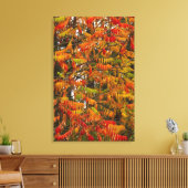 Sumacboom in herfstkleuren in Whitefish, Canvas Afdruk (Insitu (Woonkamer))