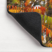 Sumacboom in herfstkleuren in Whitefish, Muismat (Hoek)