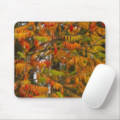 Sumacboom in herfstkleuren in Whitefish, Muismat (Met muis)