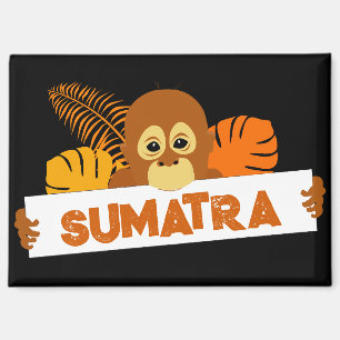 Sumatra Baby orang-oetanmagneet Magneet