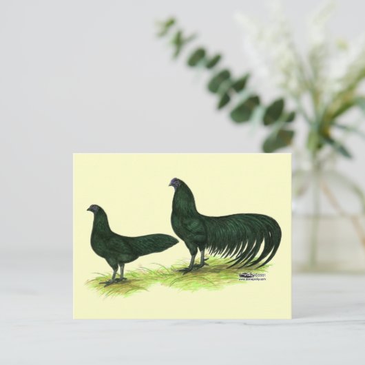 Sumatra Black Chickens Briefkaart (Staand voorkant)