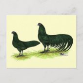 Sumatra Black Chickens Briefkaart (Voorkant)