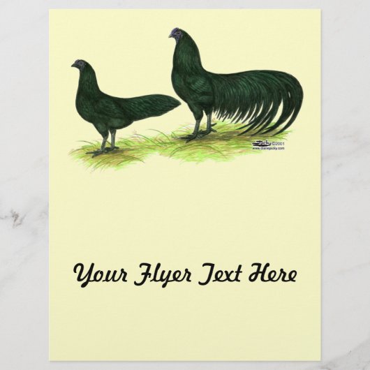 Sumatra Black Chickens Flyer (Voorkant)