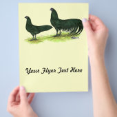 Sumatra Black Chickens Flyer (Hand)