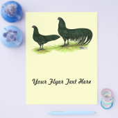 Sumatra Black Chickens Flyer (Enkel)