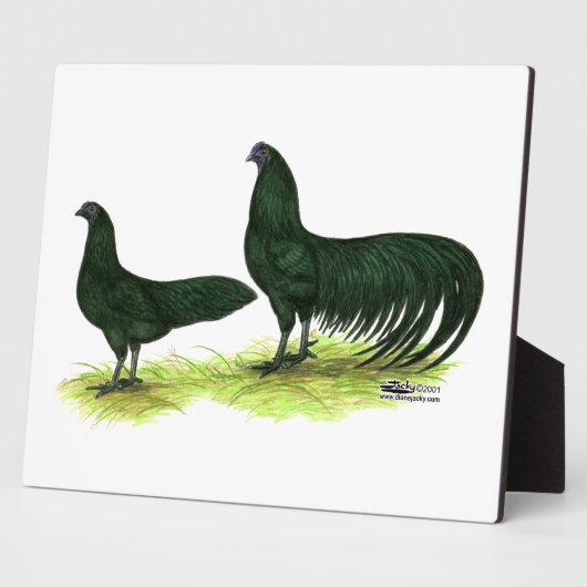 Sumatra Black Chickens Fotoplaat (Zijkant)