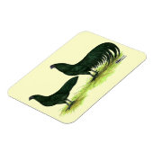 Sumatra Black Chickens Magneet (Linkerzijde)