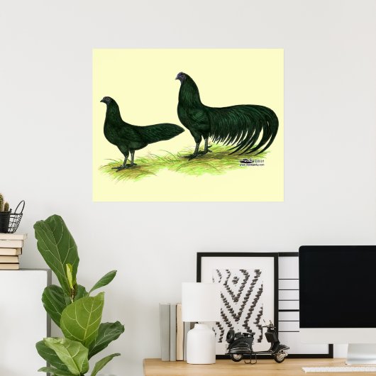Sumatra Black Chickens Poster (Thuiskantoor)
