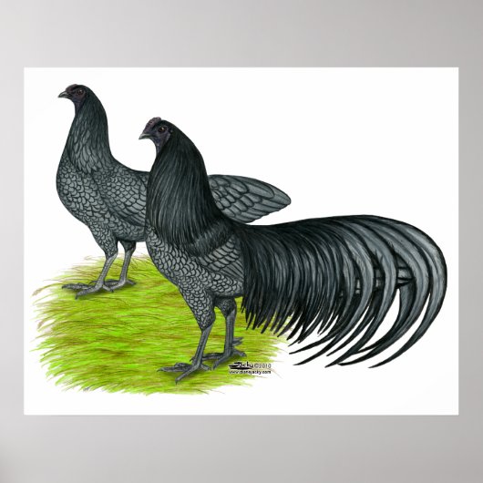 Sumatra: Blauwe lucht Poster (Voorkant)