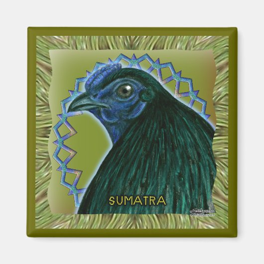 Sumatra Rooster omgeven Magneet (Voorkant)