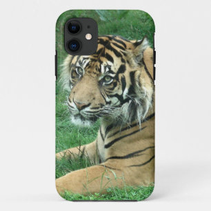 Sumatra Tiger op iPhone 5 vlak daar Case-Mate iPhone Case