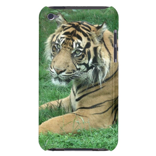 Sumatra Tiger op uw iPod-touchcase iPod Touch Hoesje (Achterkant)