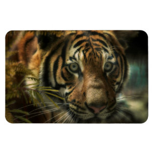 Sumatra Tiger Portrait "TIGER GROUND ZERO" Magneet