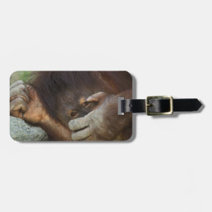 Sumatraanse orang-oetan, Pongo pygmaeus Bagagelabel