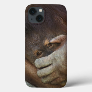 Sumatraanse orang-oetan, Pongo pygmaeus Case-Mate iPhone Case
