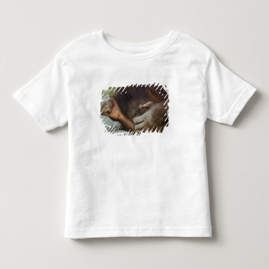 Sumatraanse orang-oetan, Pongo pygmaeus Kinder Shirts (Voorkant)