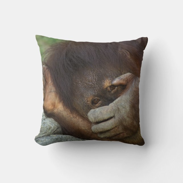 Sumatraanse orang-oetan, Pongo pygmaeus Kussen (Voorkant)