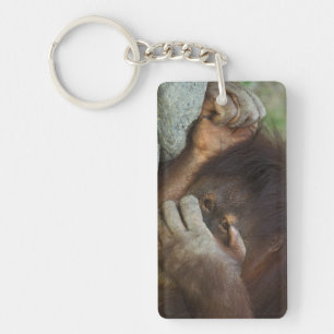 Sumatraanse orang-oetan, Pongo pygmaeus Sleutelhanger