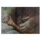 Sumatraanse orang-oetan, Pongo pygmaeus Snijplank (Voorkant)