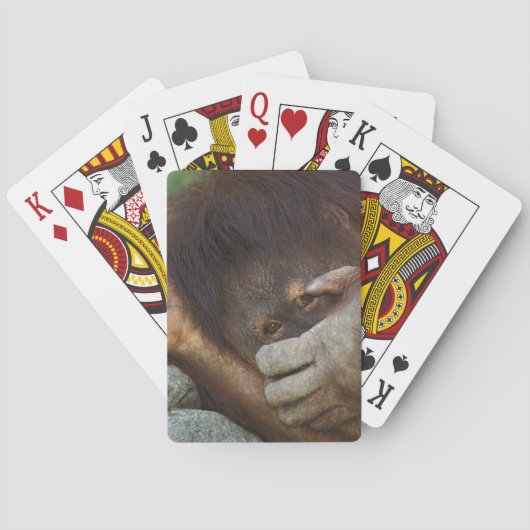 Sumatraanse orang-oetan, Pongo pygmaeus Speelkaarten (Achterkant)